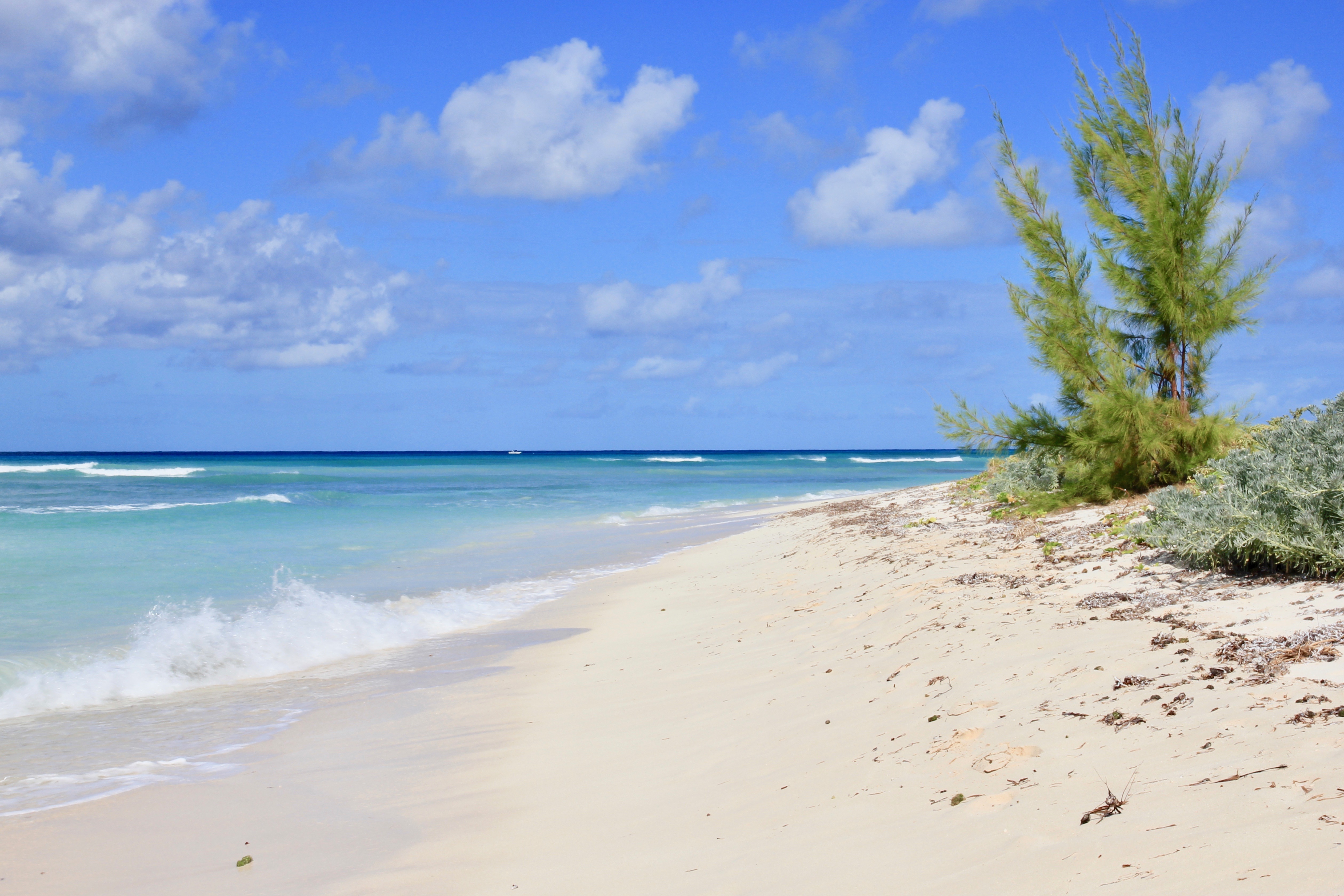 Vacanze ai Caraibi - Turks & Caicos