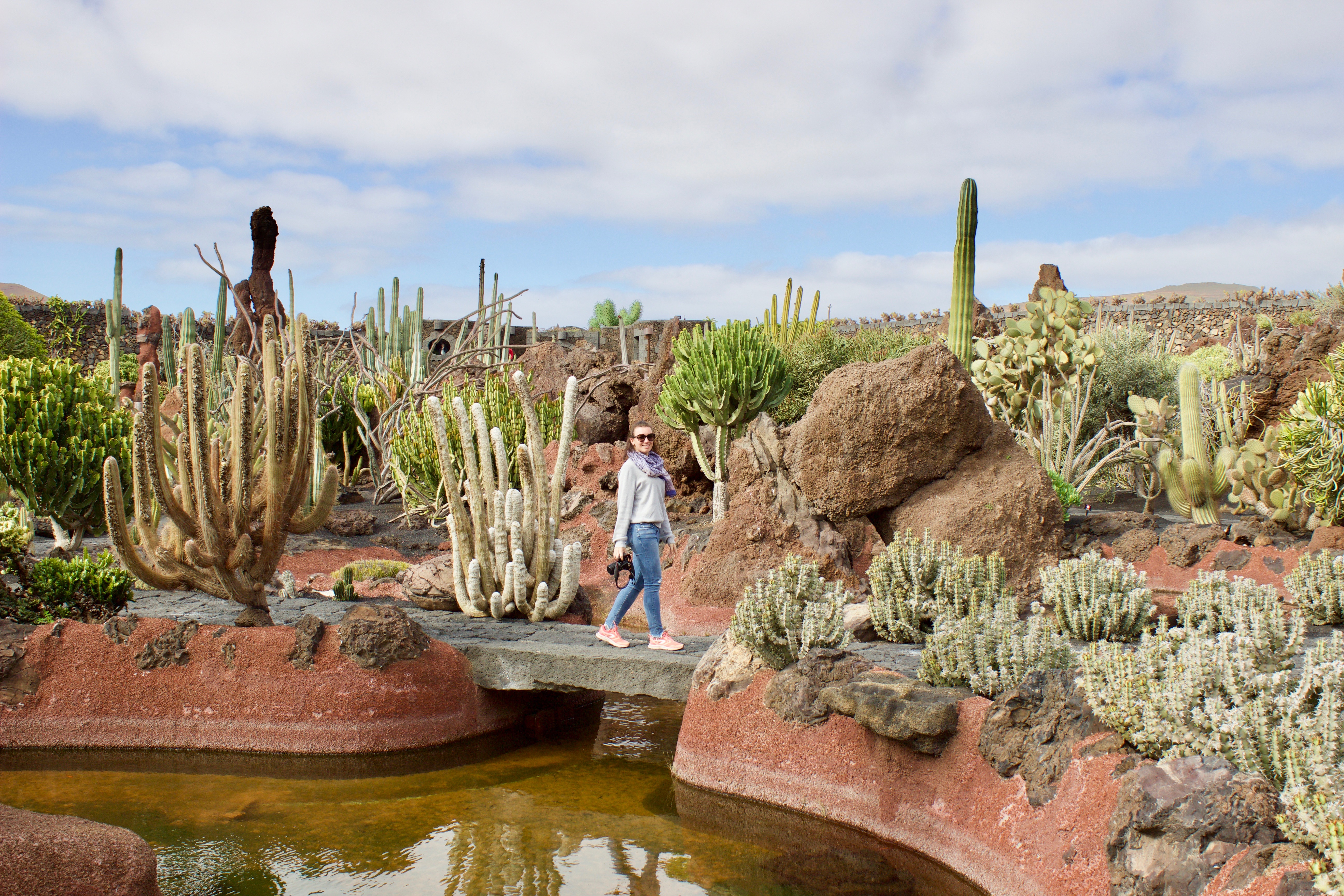 Jardín de cactus - Lanzarote